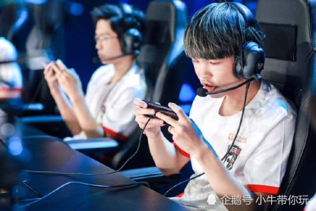 中的某些细 中的某些细