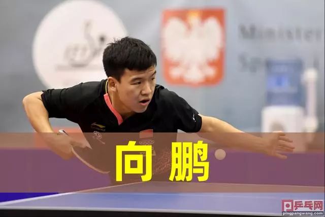 从商业角度 从商业角度