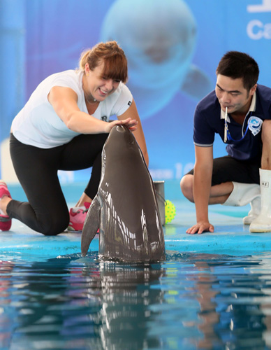 把现金变成 把现金变成